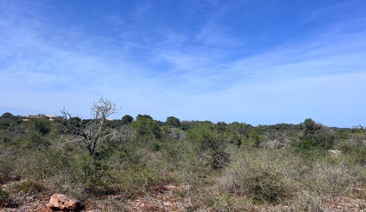 IMG-20250702-WA0017