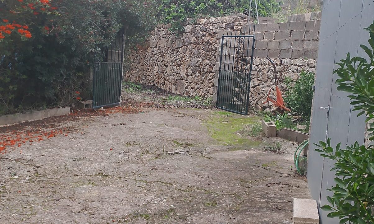 WhatsApp Image 2025-03-26 at 13.31.57 (1)