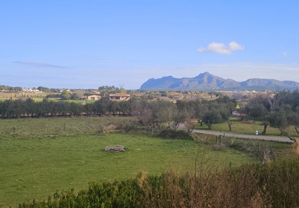 Captura de pantalla 2026-02-03 111715