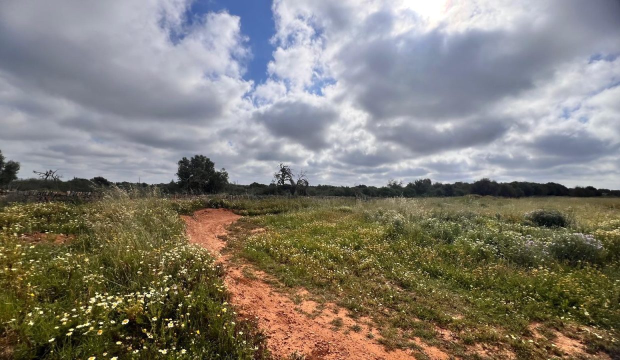 Imagen de WhatsApp 2025-04-09 a las 12.32.12_fc65cbed