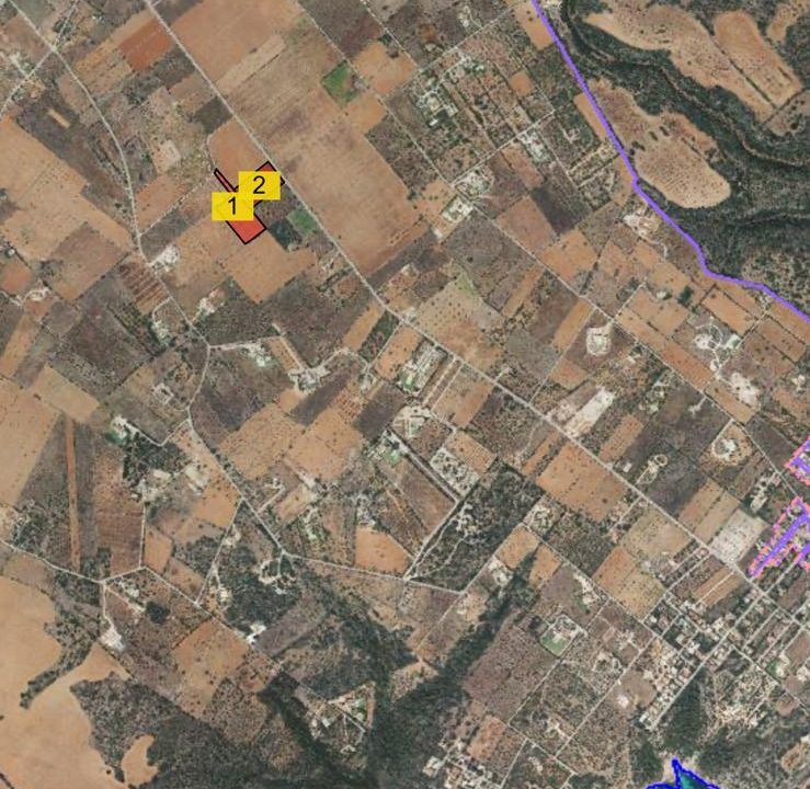 Imagen de WhatsApp 2025-04-10 a las 11.21.35_78d71f40