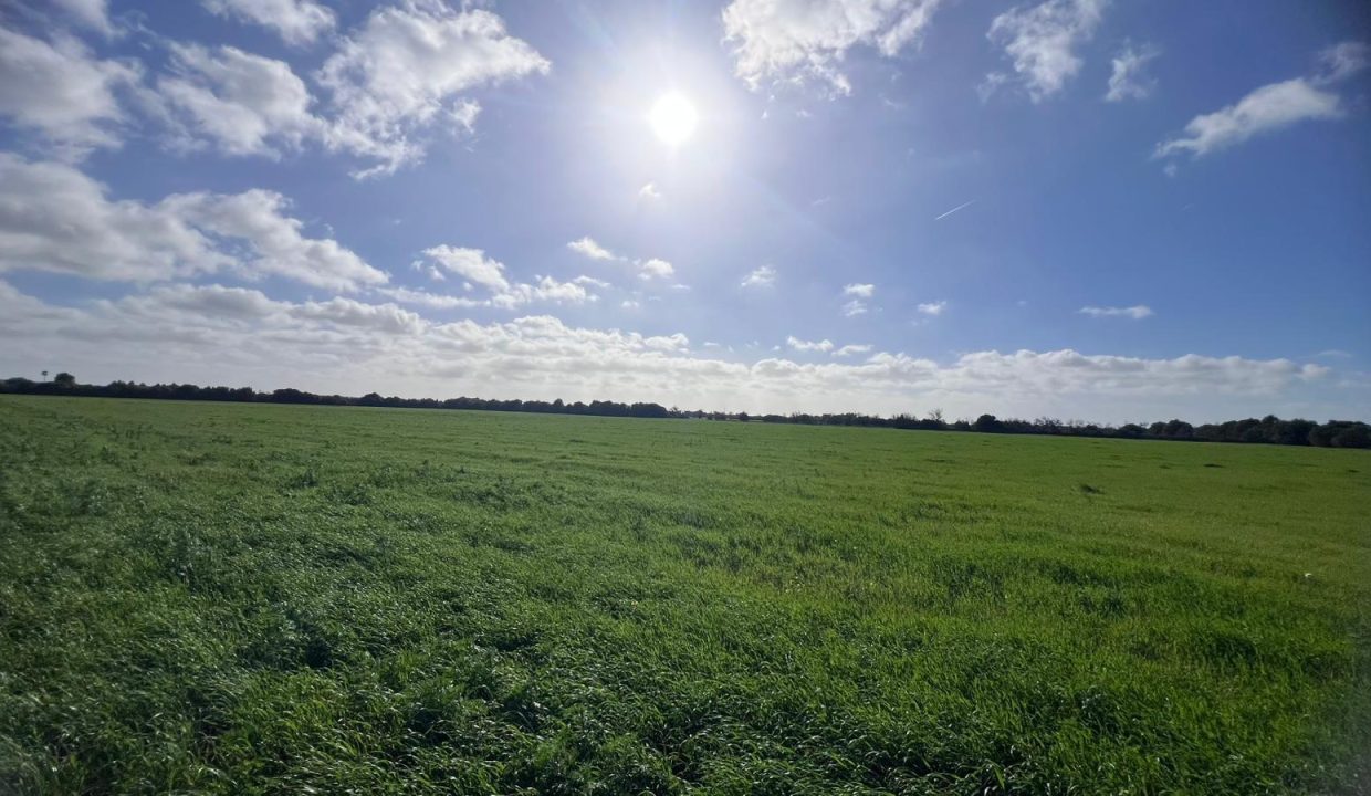 WhatsApp Image 2026-02-06 at 13.30.19 B