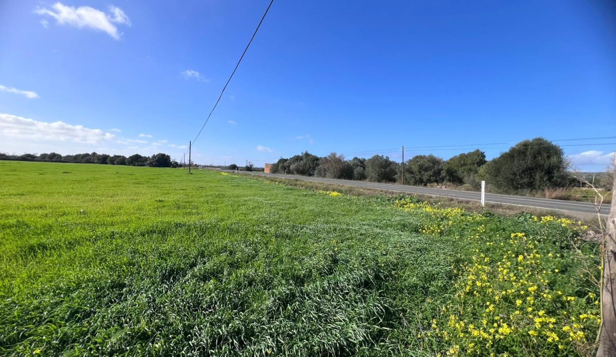 WhatsApp Image 2026-02-06 at 13.30.19 C