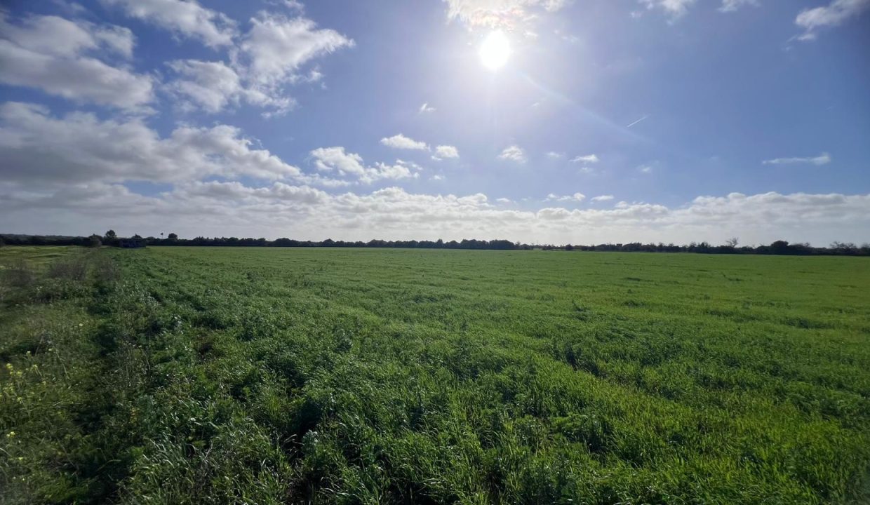 WhatsApp Image 2026-02-06 at 13.30.19 D