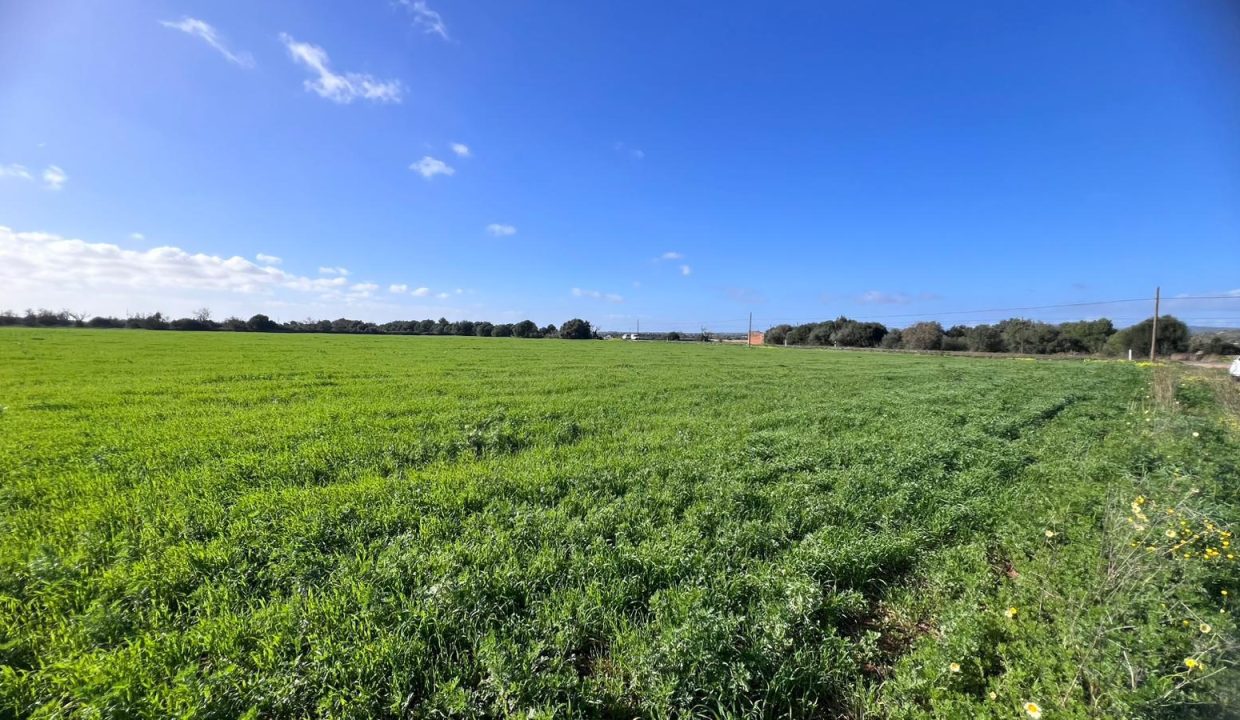 WhatsApp Image 2026-02-06 at 13.30.20 E