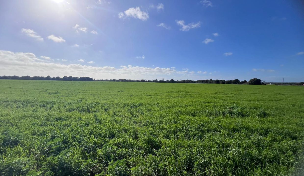 WhatsApp Image 2026-02-06 at 13.30.20 F