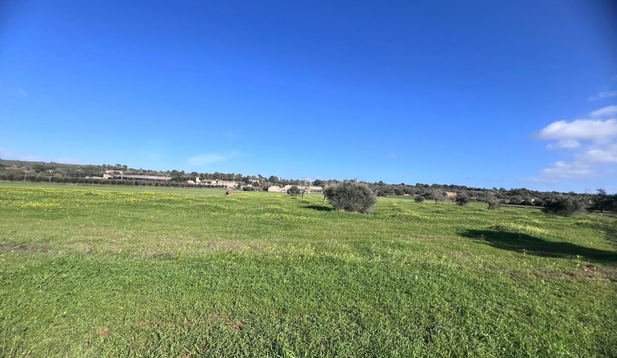 WhatsApp Image 2026-02-06 at 13.30.21 I