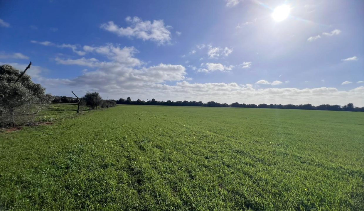 WhatsApp Image 2026-02-06 at 13.30.21 J