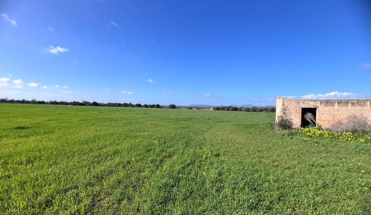 WhatsApp Image 2026-02-06 at 13.30.21 K