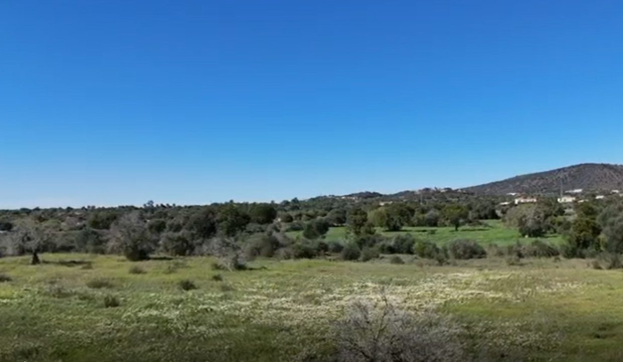 V4093 foto 8mts de altura