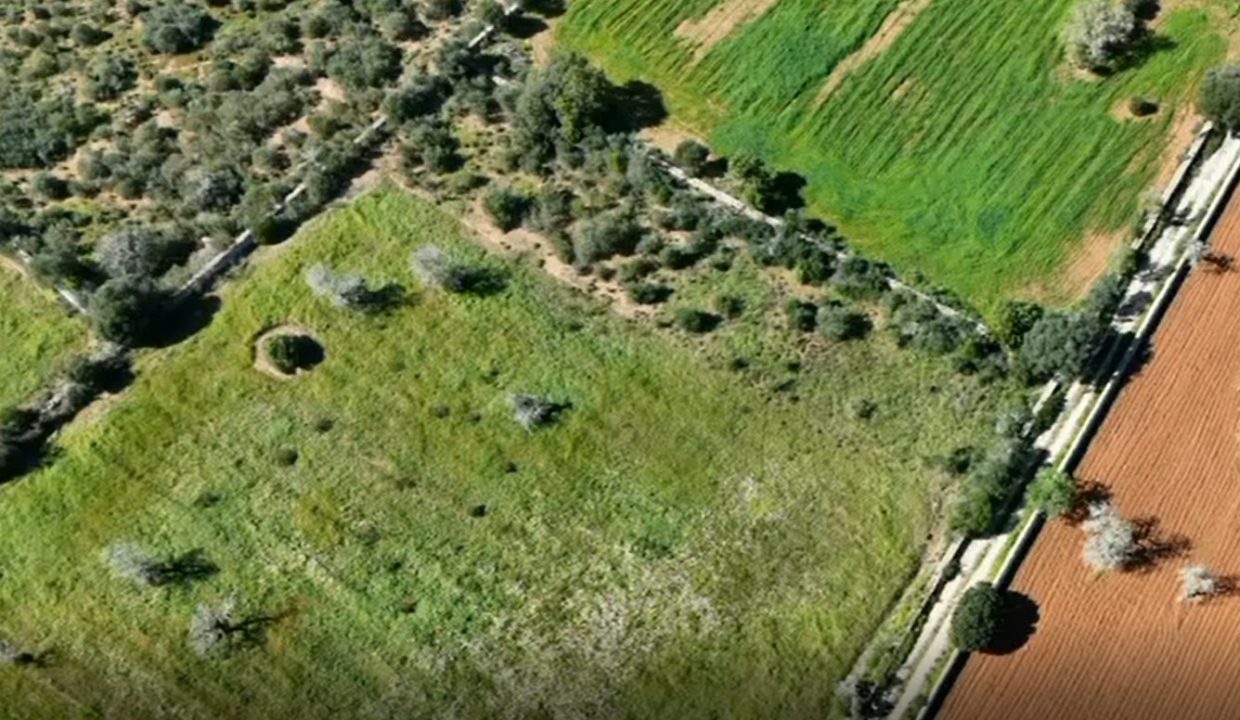 V4093 foto de la finca 80mts