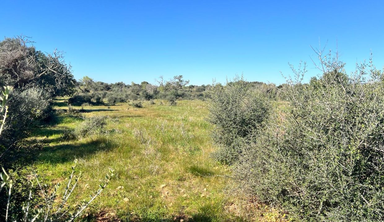 WhatsApp Image 2026-02-25 at 12.41.39 (1)