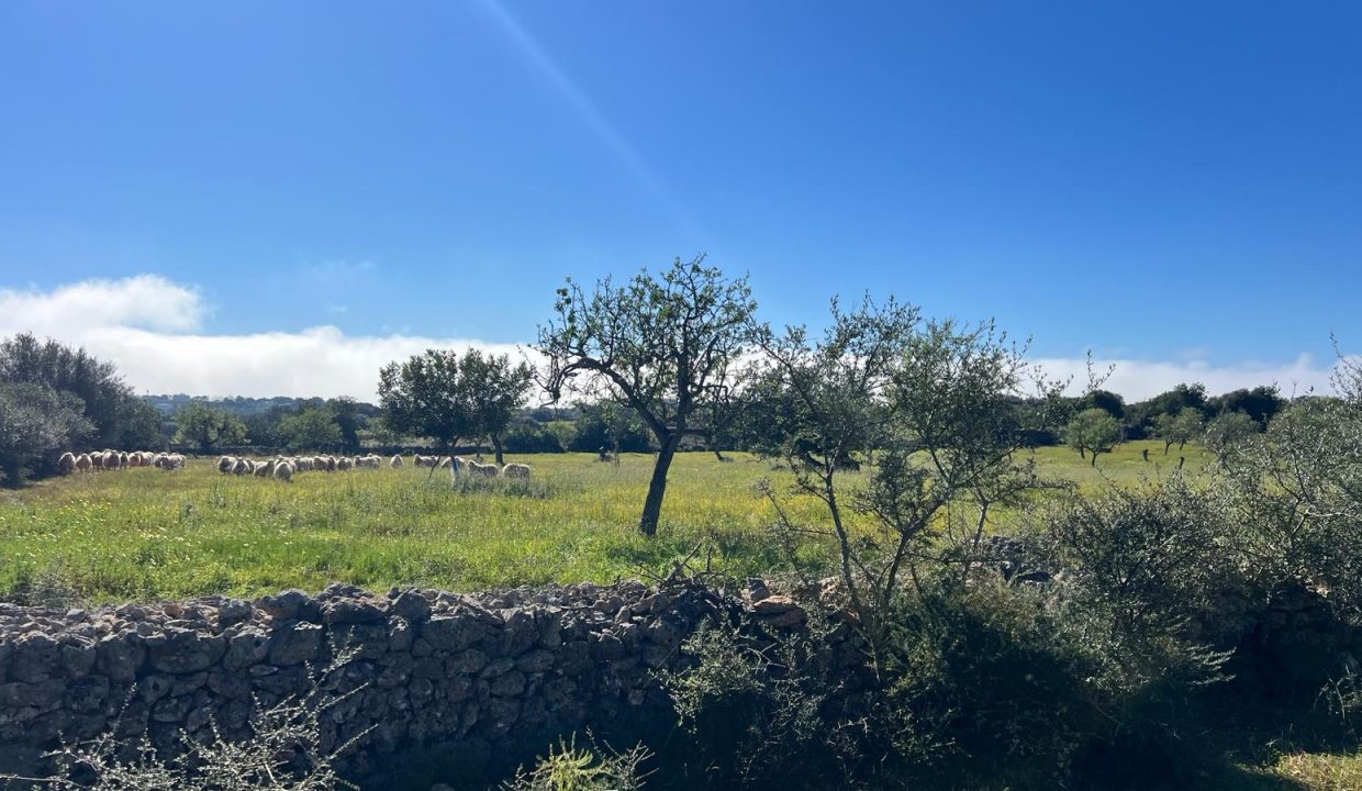 WhatsApp Image 2026-02-25 at 12.41.39