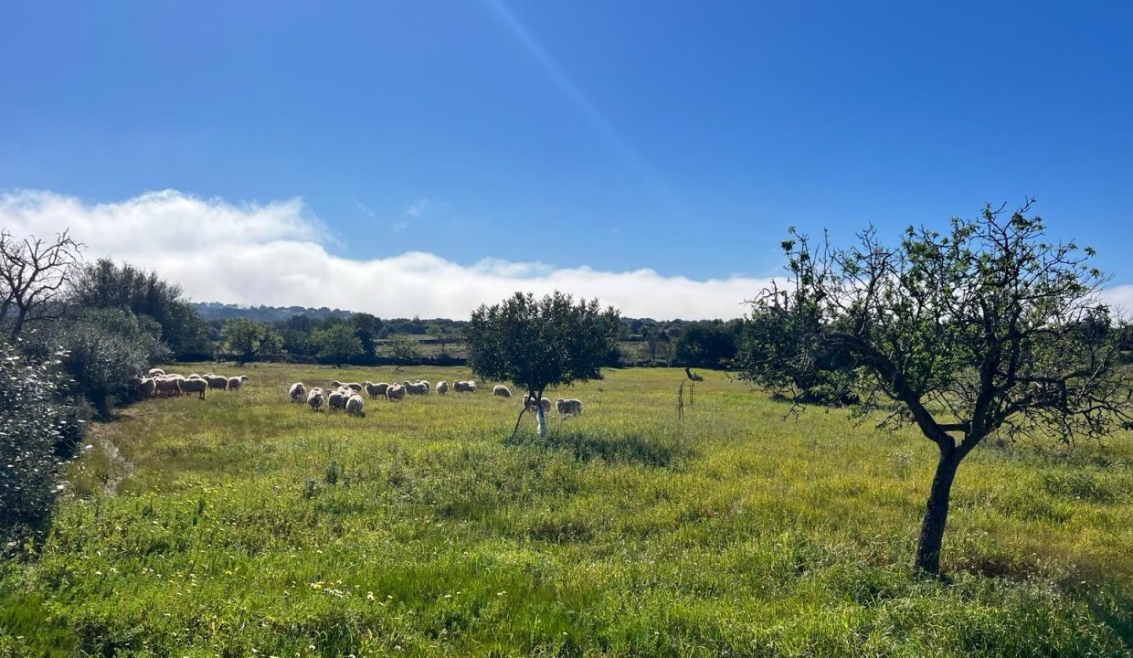 WhatsApp Image 2026-02-25 at 12.41.40 (1)