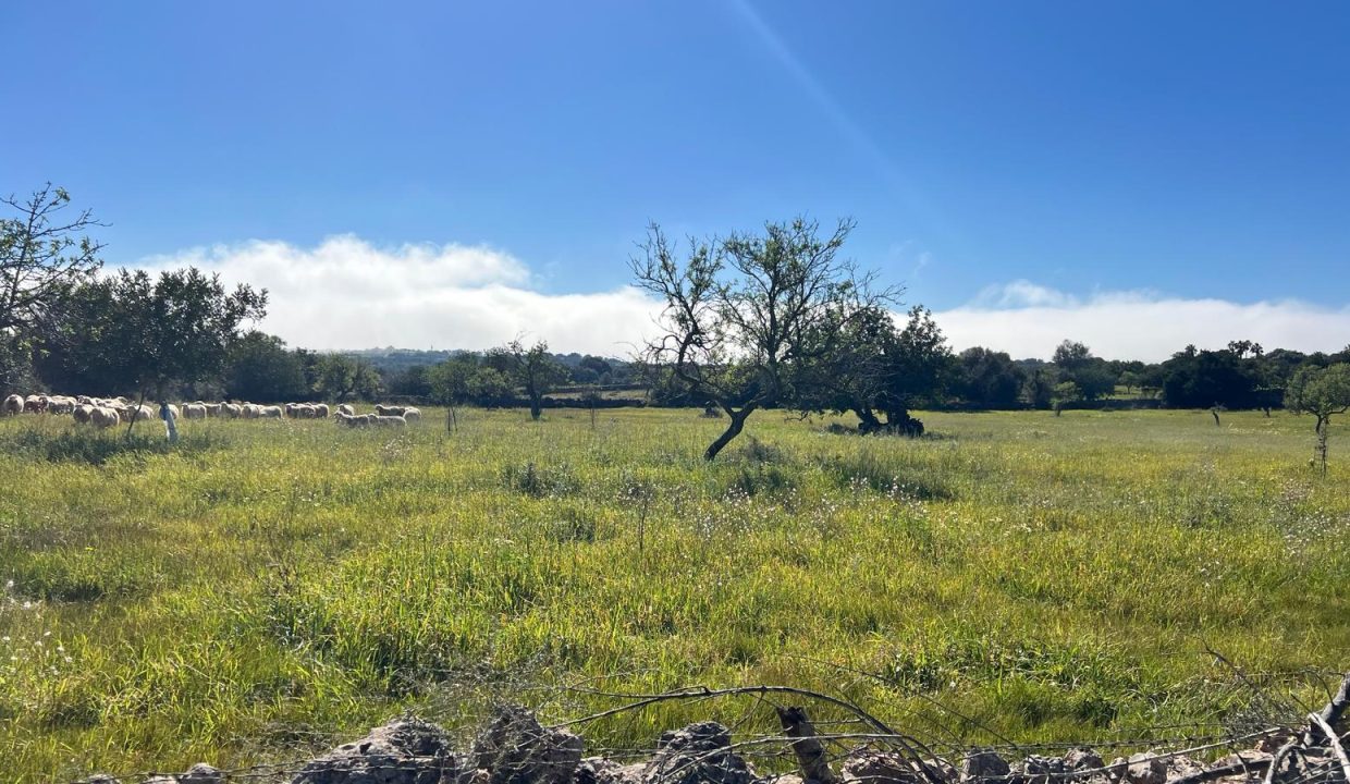 WhatsApp Image 2026-02-25 at 12.41.40