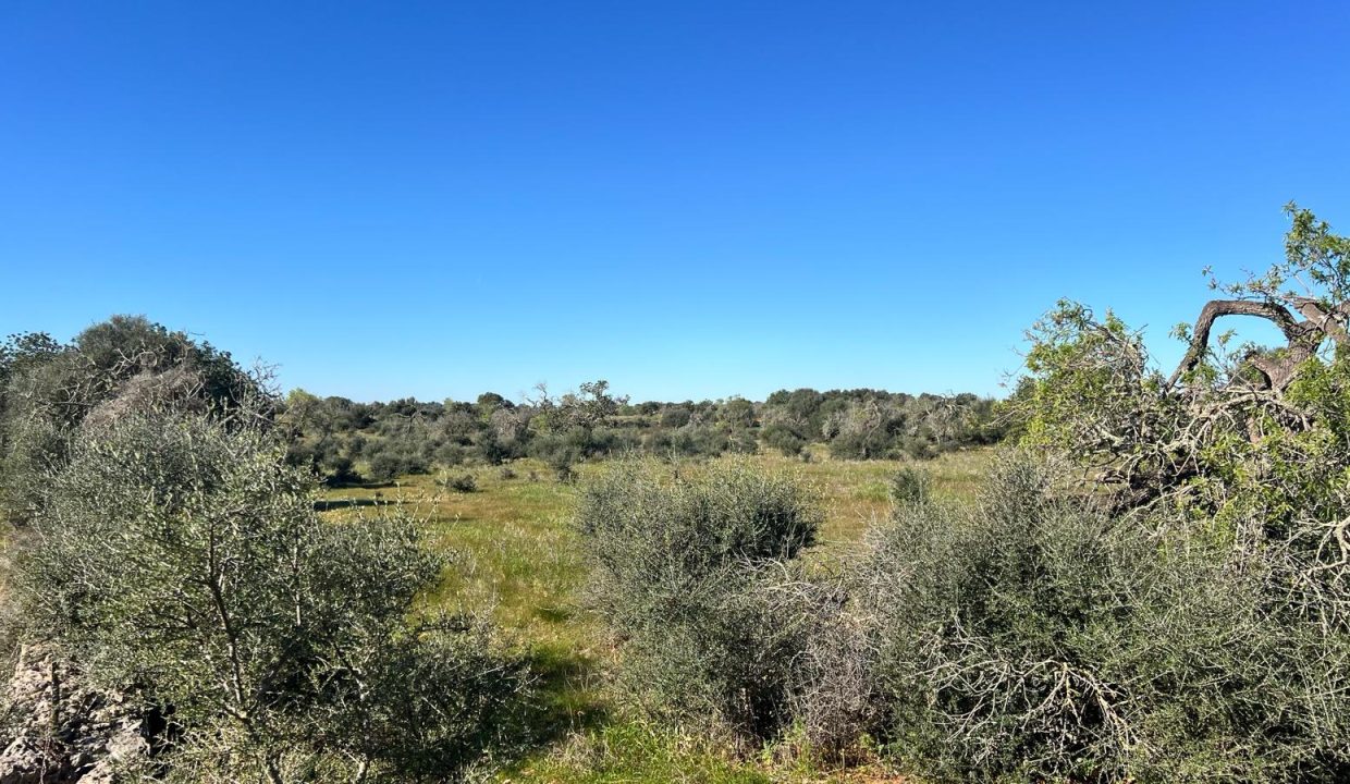 WhatsApp Image 2026-02-25 at 12.41.40 (2)