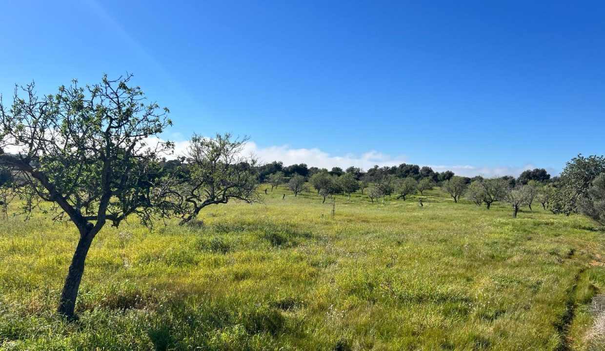 WhatsApp Image 2026-02-25 at 12.41.40 (3)