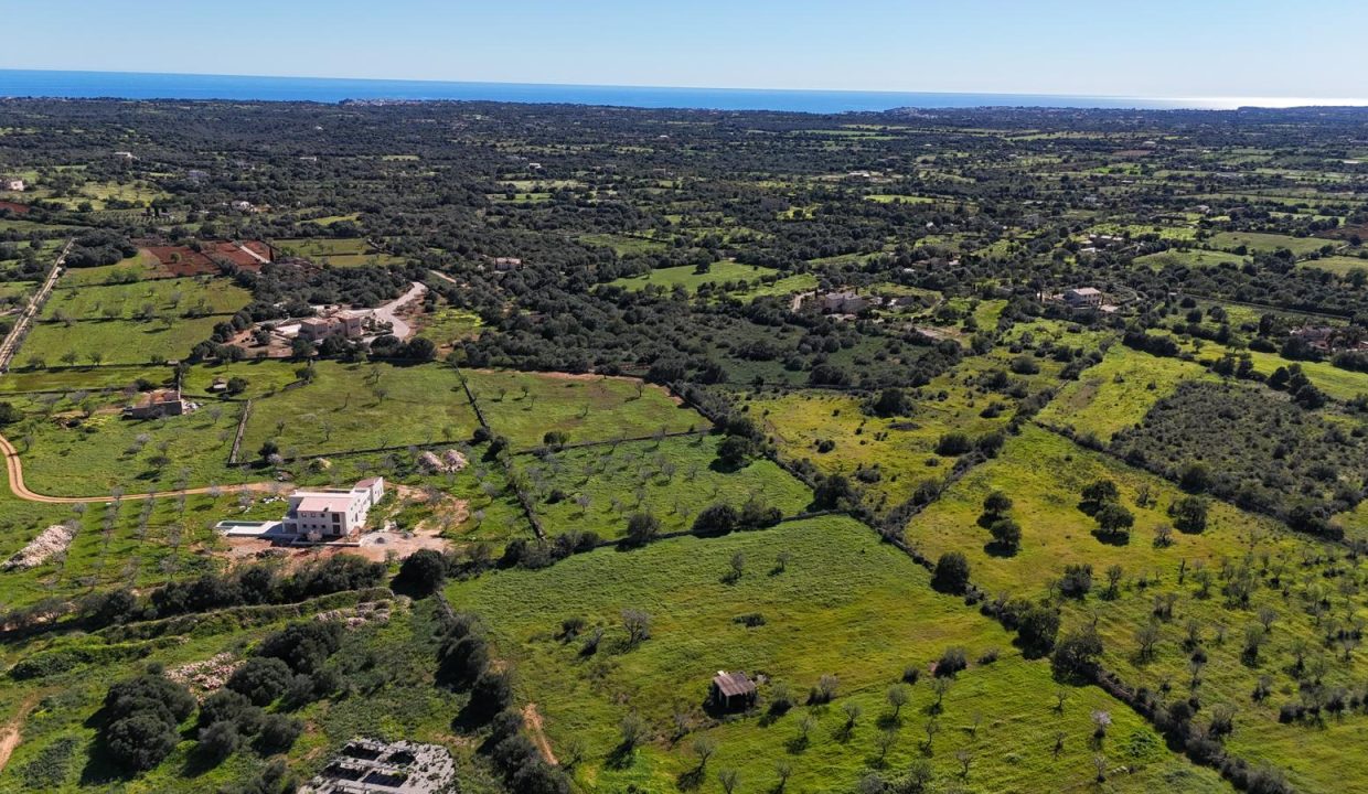 WhatsApp Image 2026-02-25 at 20.18.10