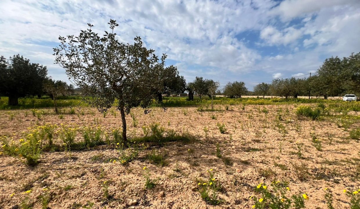 WhatsApp Image 2026-03-23 at 11.15.55