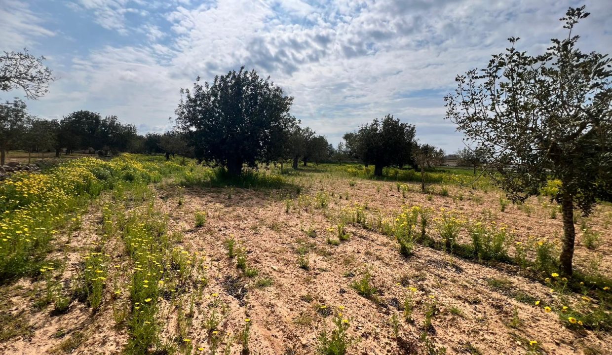 WhatsApp Image 2026-03-23 at 11.15.58