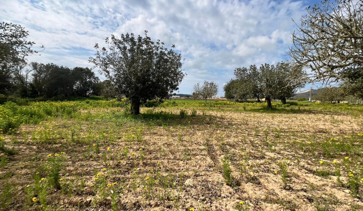 WhatsApp Image 2026-03-23 at 11.16.19