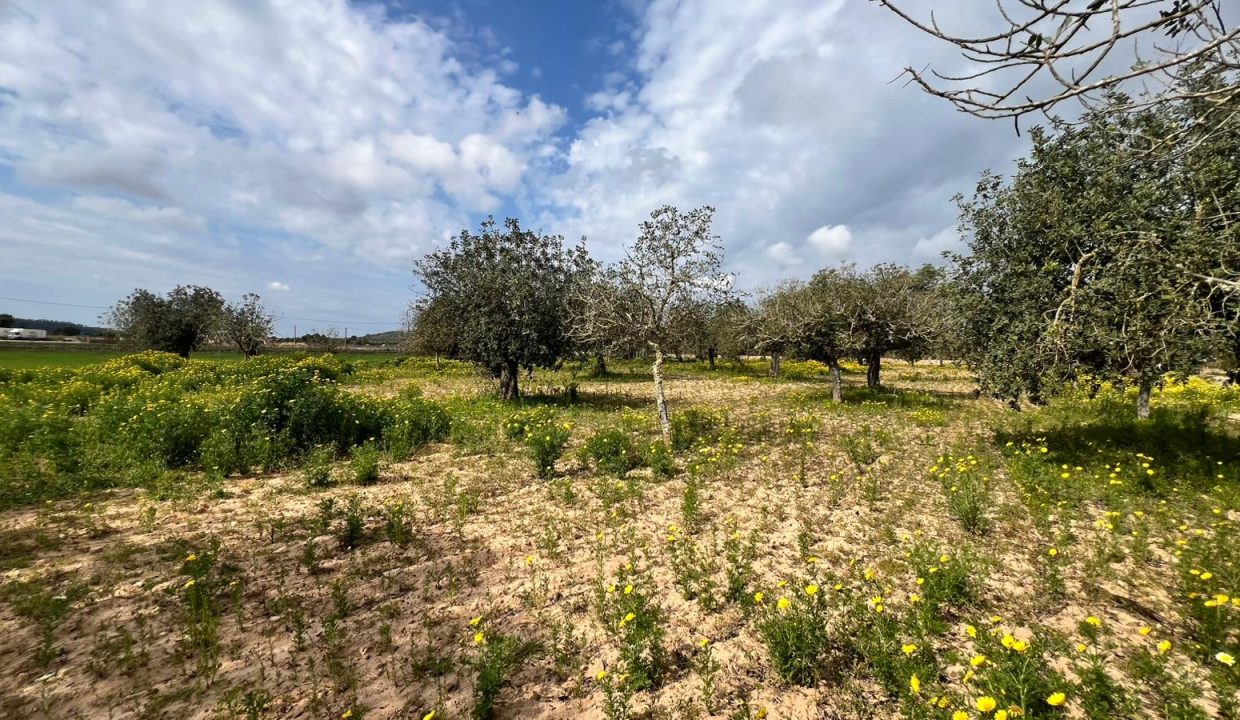 WhatsApp Image 2026-03-23 at 11.16.20