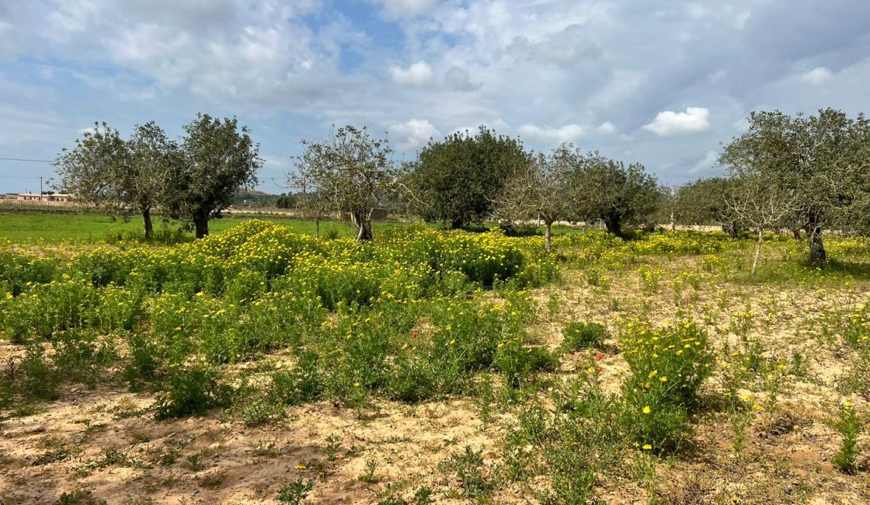 WhatsApp Image 2026-03-23 at 11.16.21 (1)