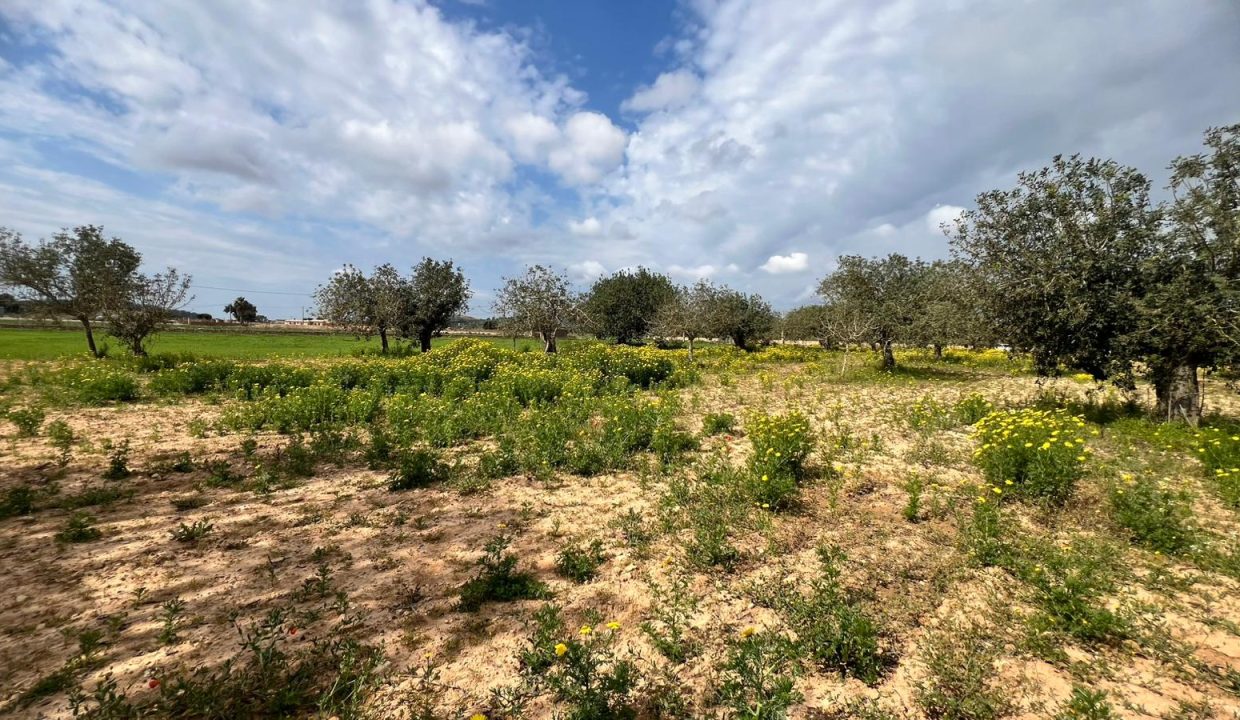 WhatsApp Image 2026-03-23 at 11.16.21