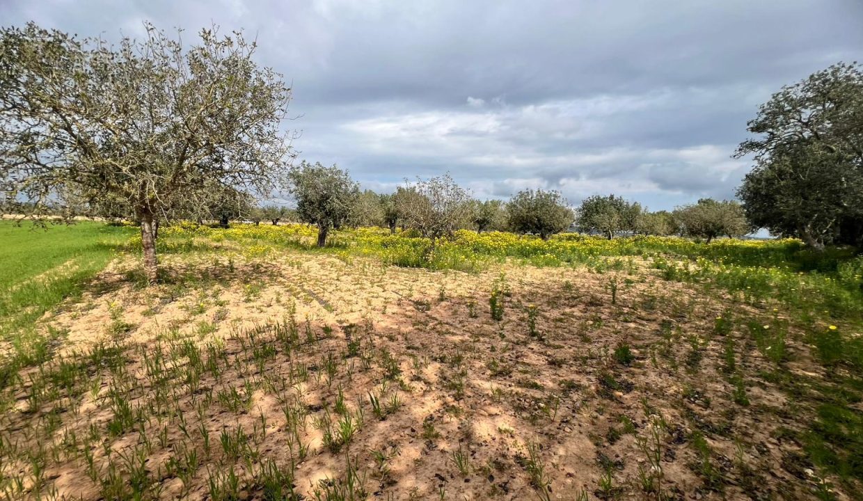 WhatsApp Image 2026-03-23 at 11.16.22 (1)