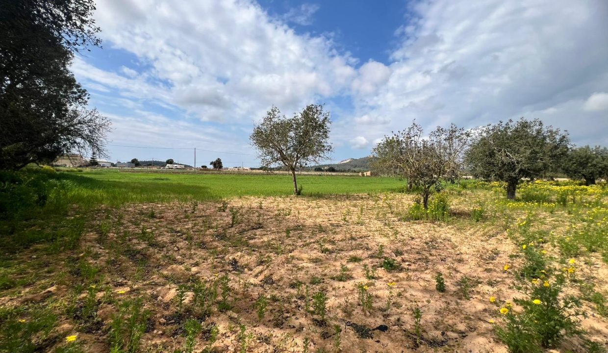 WhatsApp Image 2026-03-23 at 11.16.22