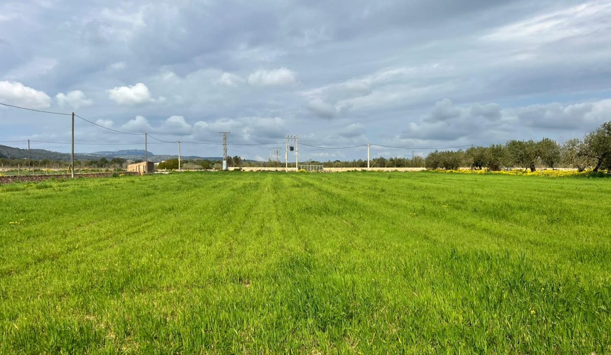 WhatsApp Image 2026-03-23 at 11.16.22 (2)