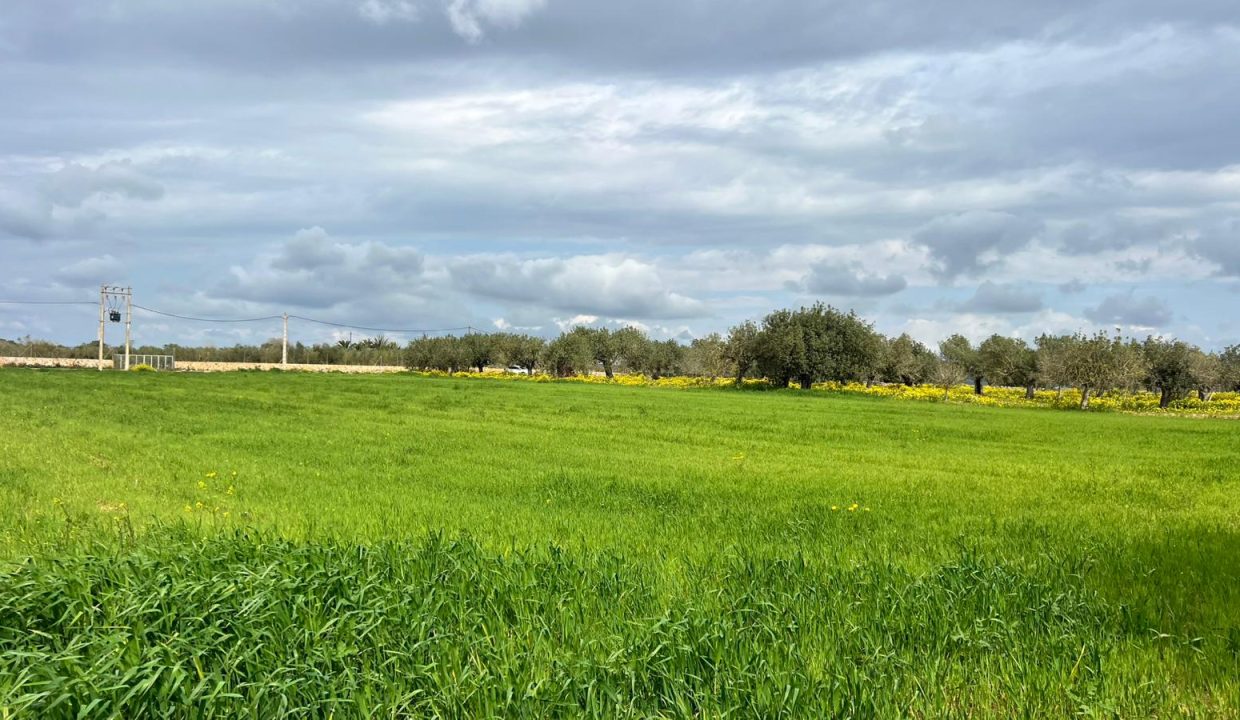 WhatsApp Image 2026-03-23 at 11.16.23