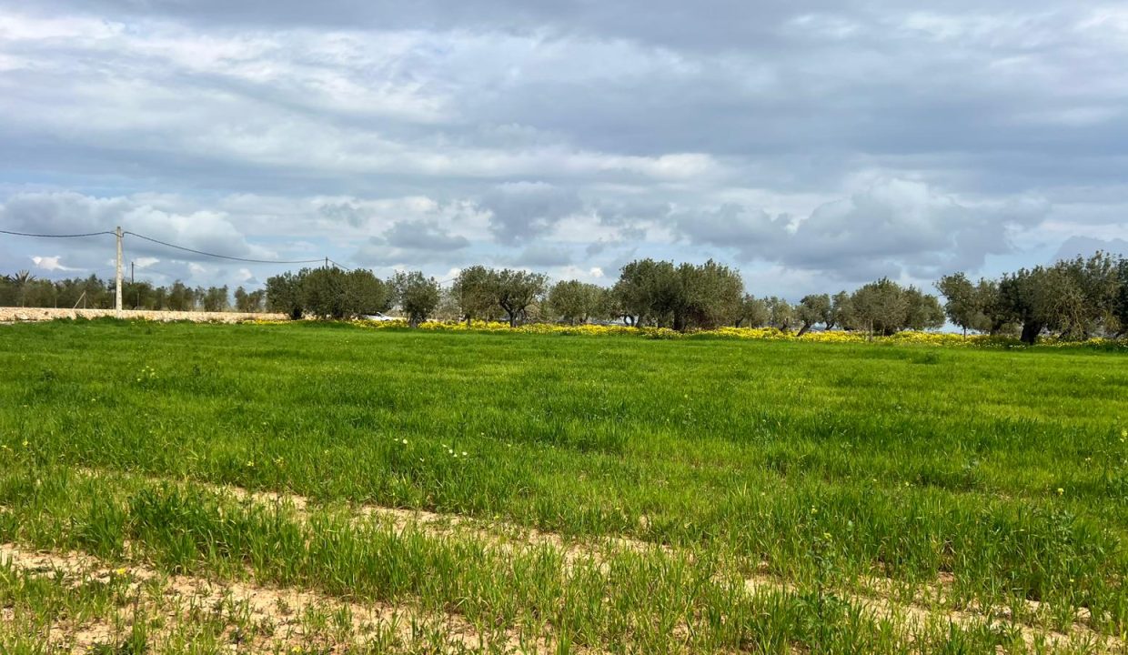 WhatsApp Image 2026-03-23 at 11.16.24