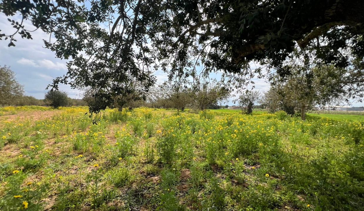 WhatsApp Image 2026-03-23 at 11.16.25 (1)