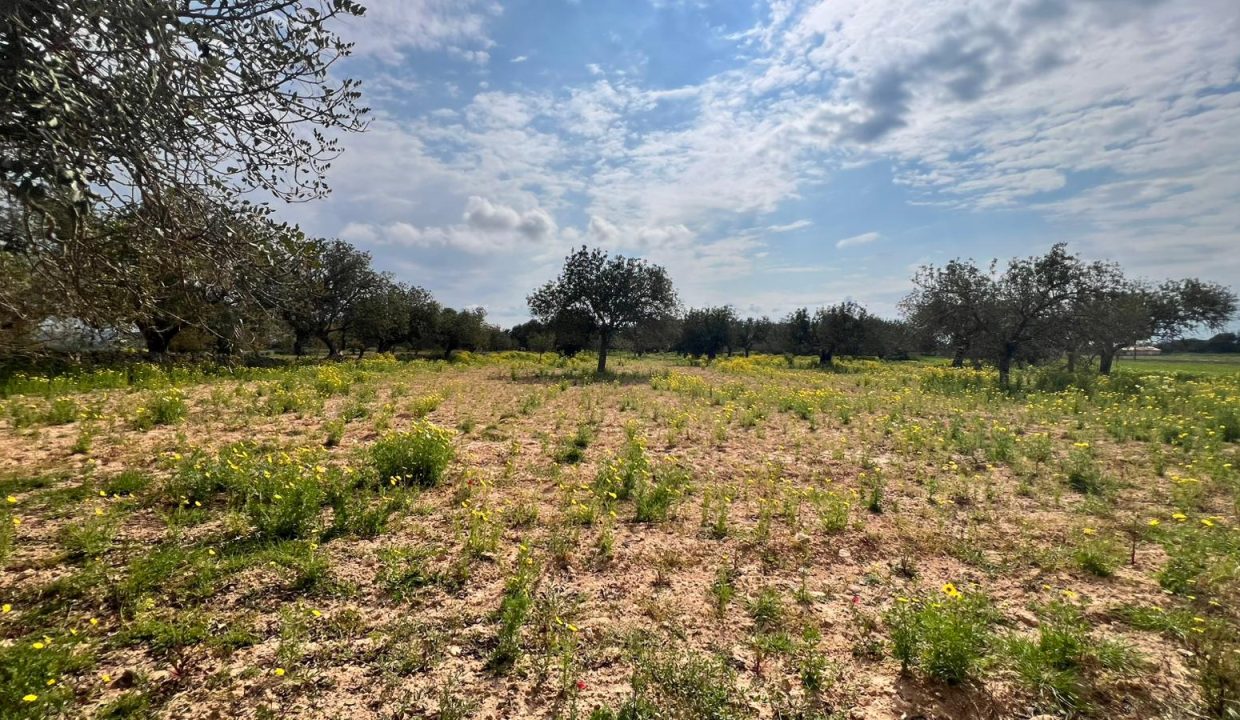 WhatsApp Image 2026-03-23 at 11.16.25 (2)