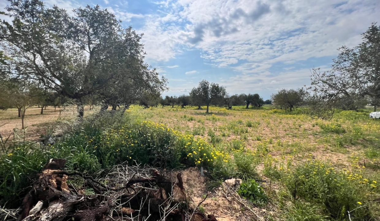 WhatsApp Image 2026-03-23 at 11.16.26